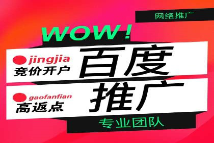 SEM代运营机构案例分析：优化策略与执行